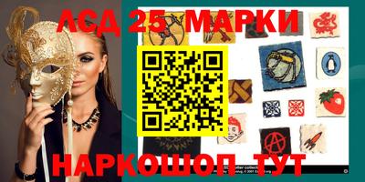 мдпв Будённовск