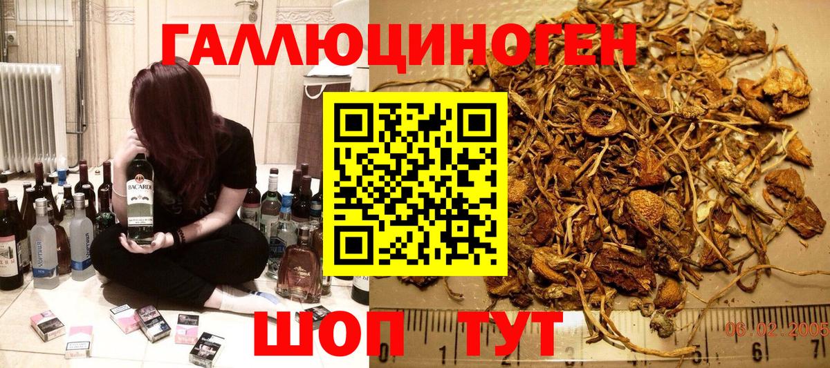 Псилоцибиновые грибы Psilocybe  Вход с VPN  где купить наркоту  Шатура 